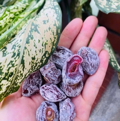 Xí Muội Thịt Chua Ngọt Không Hạt Siêu Ngon