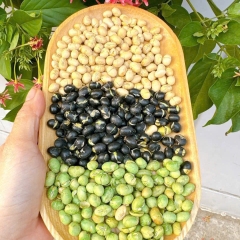 Đậu Mix 3 Loại Đậu Sấy Giòn – Ăn Vặt Lành Mạnh, Tốt Cho Sức Khỏe 850g