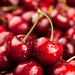 Khám Phá Thế Giới Cherry Mỹ Qua Từng Size Trái
