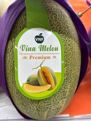 Dưa lưới Vina Melon Premium