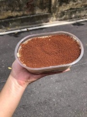 Tiramisu oval