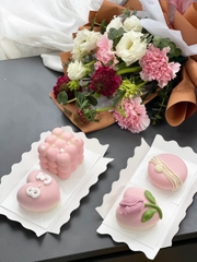 Bánh sinh nhật Entremet