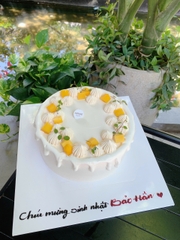 Bánh sinh nhật kem ( Không chọn mẫu )