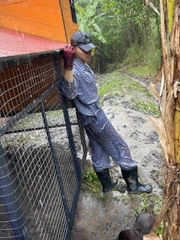 Chàng Tiên Cá Bảo Tồn Rái Cá Để Cứu Rừng Ngập Mặn