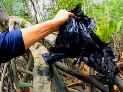 Anh Tiên Cá Loại Bỏ Hơn 5 Tấn Chất Thải Nhựa Trong Rừng Đước Hằng Tháng