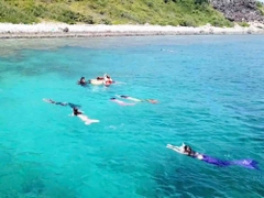 Nghề Nàng Tiên Cá Ở Mỹ