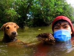 Rái Cá Phóng Sanh Cá Biển Trong Rừng Ngập Mặn