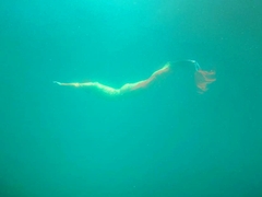 Chàng tiên cá Tiun người sở hữu nhiều bằng thầy nàng tiên cá nhất thế giới