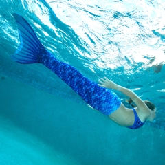 Đuôi Người Cá Arctic