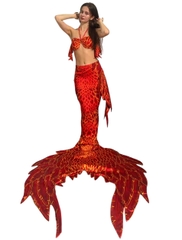 Đuôi Nàng Tiên Cá Rồng