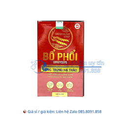 Viên uống Bổ Phổi Cordyceps giúp bổ phổi, hỗ trợ giảm ho, giảm đờm, giảm đau rát họng, khản tiếng hộp 30 viên