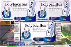 Men Polybacillus giúp bổ sung lợi khuẩn, giảm rối loạn tiêu hoá hộp 20 ống