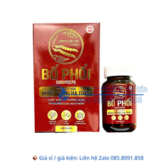 Viên uống Bổ Phổi Cordyceps giúp bổ phổi, hỗ trợ giảm ho, giảm đờm, giảm đau rát họng, khản tiếng hộp 30 viên