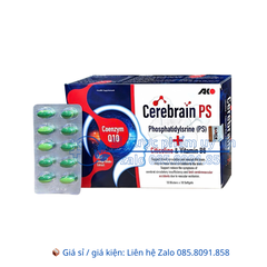 Viên uống bổ não Cerebrain PS giúp hoạt huyết dưỡng não, giúp tăng cường tuần hoàn máu não hộp 100 viên