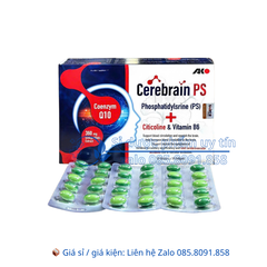 Viên uống bổ não Cerebrain PS giúp hoạt huyết dưỡng não, giúp tăng cường tuần hoàn máu não hộp 100 viên