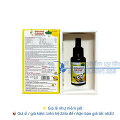 Siro Minions Grow Húng Chanh Lên Men giúp tăng đề kháng, giảm cảm cúm, ho, sốt hộp 30 ml