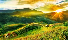 Tour HÀ NỘI - TRÀNG AN - BÁI  ĐÍNH - HẠ LONG - KDL YÊN TỬ - SAPA