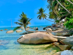 Tour Đảo Hòn Sơn