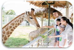 Tour Đảo Ngọc Phú Quốc