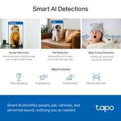 Camera giám sát TP-LINK, Tapo C220