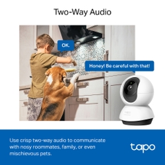 Camera giám sát TP-LINK, Tapo C220