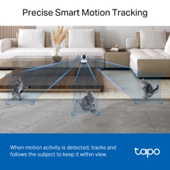 Camera giám sát TP-LINK, Tapo C220