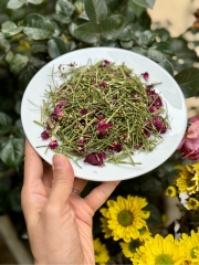 Trà Hoa Hồng Mùi Già