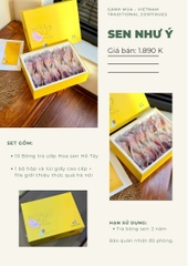 SET QUÀ NHƯ Ý