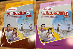 I. COMBO BỘ BÀI TẬP TIẾNG VIỆT CƠ BẢN NÂNG CAO (11 quyển)