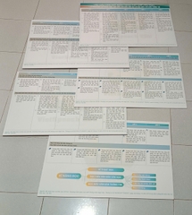 POSTER Yêu cầu cần đạt môn Tiếng Việt cấp Tiểu Học (bộ 5 tranh A0)