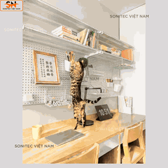 Kệ Đôi Gắn Tường Khung Lưới – Combo Kệ Sách Decor Bàn Học Tiết Kiệm Diện Tích