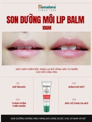 Son Dưỡng Môi Lip Balm 10gm