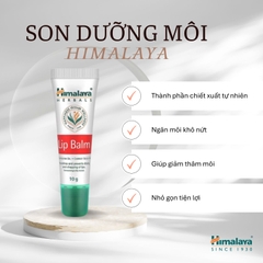 Son Dưỡng Môi Lip Balm 10gm