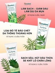 Mặt nạ đất sét lá neem loại bỏ mụn, bã nhờn và mờ thâm Himalaya Neem Face Pack 50ml