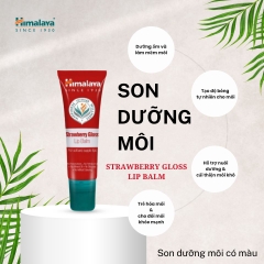 Son Dưỡng Dâu Tây Căng Bóng Đàn Hồi Strawberry Gloss Lip Balm 10gm