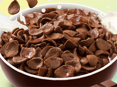 Ngũ cốc hữu cơ dạng mảnh Choco Shells (275gr)