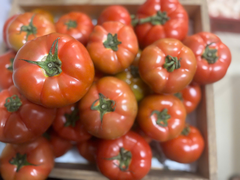 Cà chua beef Đà Lạt