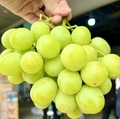 Nho xanh không hạt Sweet Globe Roxie (kg)