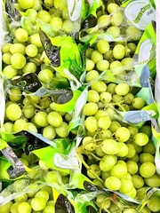 Nho xanh không hạt Sweet Globe Roxie (kg)
