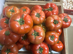 Cà chua beef Đà Lạt