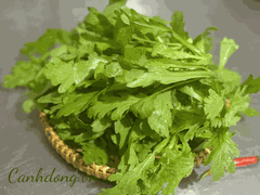 Cải cúc hữu cơ vườn Cây Gạo (kg)
