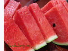 DƯA HẤU SÀI GÒN (KG)