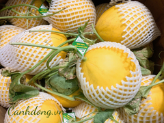 Dưa kim hoàng hậu Lam Sơn