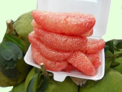 Bưởi da xanh Tam Tân (kg)