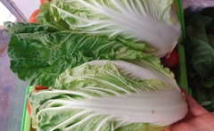 Cải thảo hữu cơ vườn Cây Gạo (túi 500gr)
