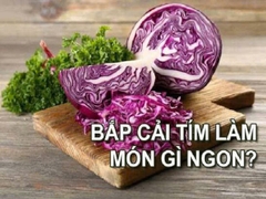 Bắp cải tím Vifotec