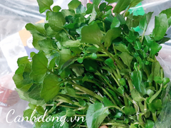 Rau cải xoong hữu cơ Vườn Cây Gạo (túi 400gr)