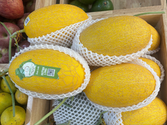 Dưa lưới vàng Huỳnh Long