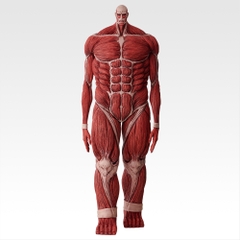 Mô hình IchibanKuji ~I'll take down the Beast Titan~ - Attack on Titan Chính hãng Bandai
