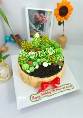 Rau Câu Sinh Nhật Flan